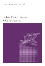 Public Procurement & Concessions brochure